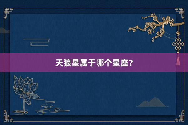 天狼星属于哪个星座？